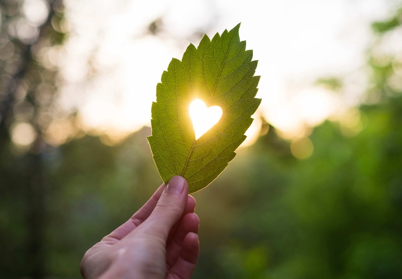 Vị tha là gì? Tác động của lòng vị tha với cuộc sống 2