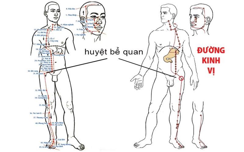 Vị trí, công dụng và cách tác động huyệt Bể Quan 1