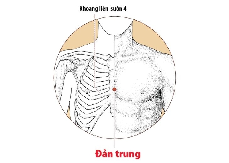Vị trí huyệt chiên trung và tác dụng huyệt mang lại cho sức khỏe con người1