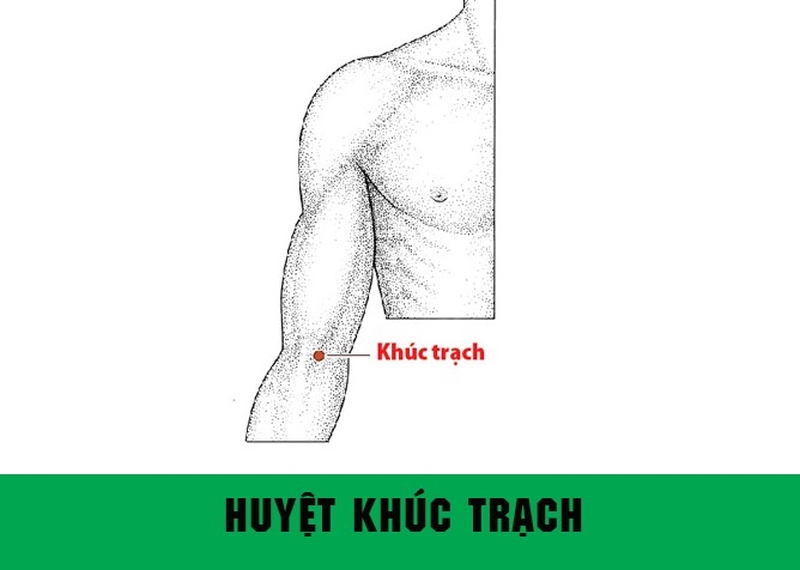 Vị trí huyệt Khúc Trạch và tác dụng của huyệt trong hỗ trợ điều trị bệnh1