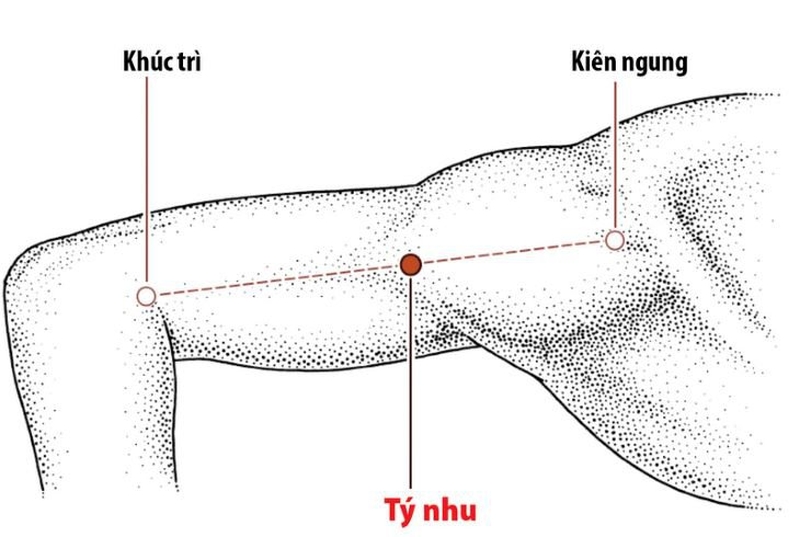 Vị trí huyệt Kiên Ngung và ứng dụng trong trị liệu1