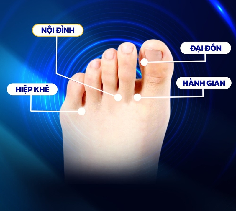 Vị trí huyệt Nội Đình và ứng dụng trong việc hỗ trợ điều trị bệnh1