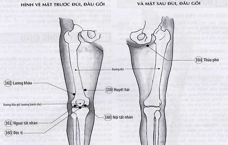 Vị trí huyệt Tất Nhãn ở đâu? Cách phối hợp huyệt để chữa bệnh 1