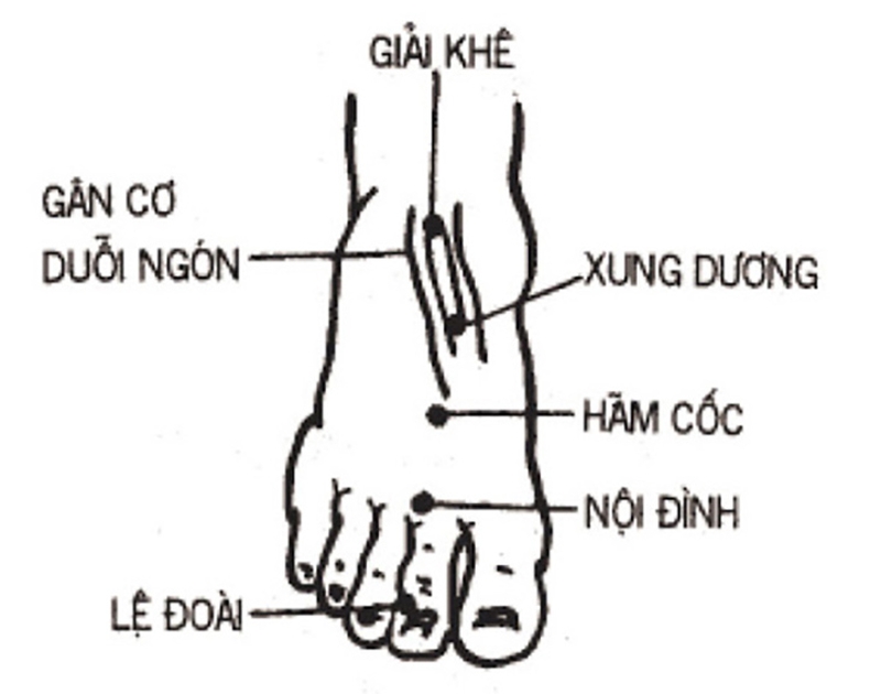 Vị trí và tác dụng hỗ trợ điều trị bệnh của huyệt Giải Khê1