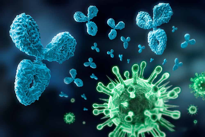 Vi trùng và những điều cần biết 1