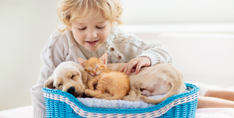 Vi trùng và những điều cần biết 2