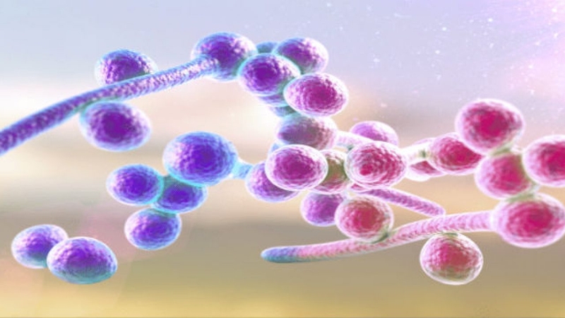 Những thông tin cần biết về bệnh nấm ống tai 2