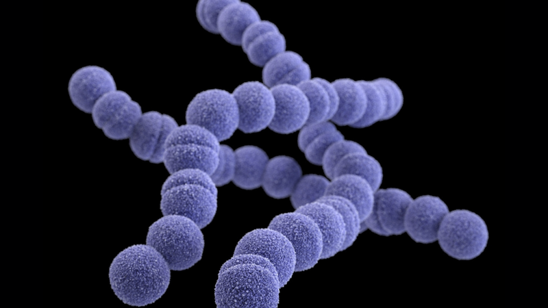 Viêm amidan hốc mủ: Nguyên nhân, triệu chứng và điều trị 2