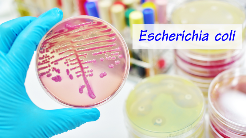 Viêm bàng quang cấp: Nguyên nhân, triệu chứng, điều trị và phòng ngừa 2