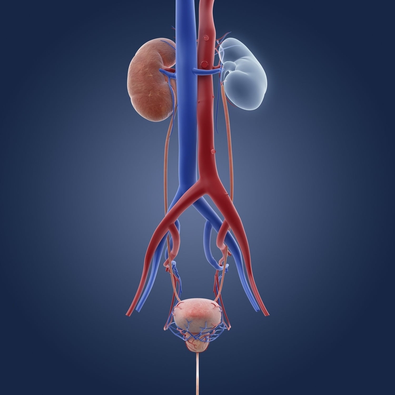 Viêm bàng quang xuất huyết có nguy hiểm không? 2