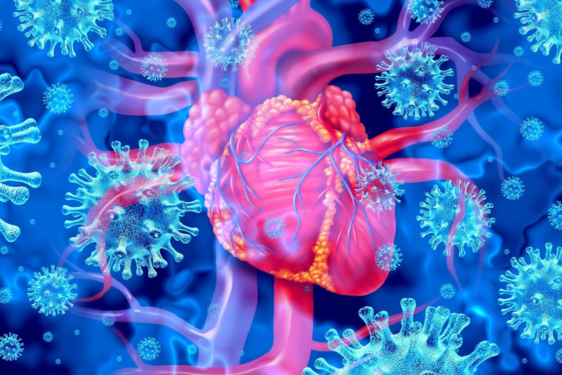 Viêm cơ tim cấp ở trẻ nhỏ nguy hiểm như thế nào? Những dấu hiệu phụ huynh cần lưu ý 1