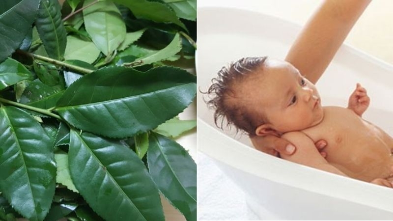 Viêm da dị ứng tắm lá gì nhanh khỏi? 7