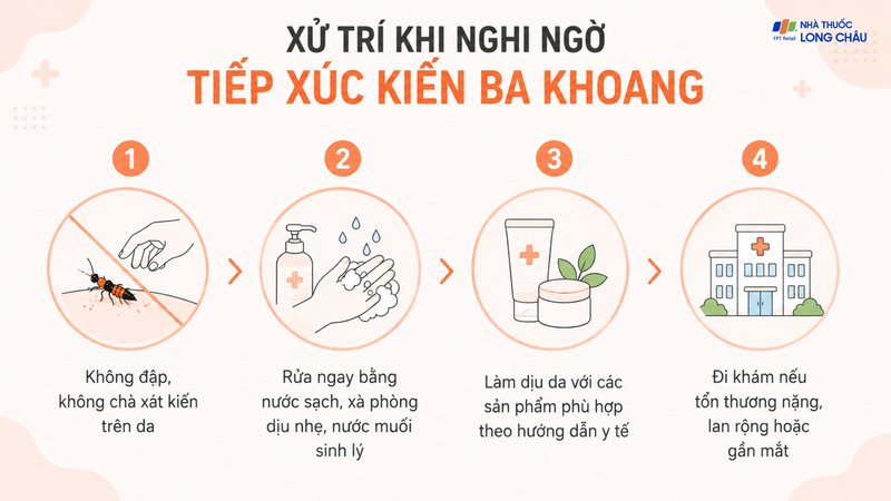 Xử trí đúng ngay sau khi tiếp xúc với kiến ba khoang giúp hạn chế mức độ tổn thương da