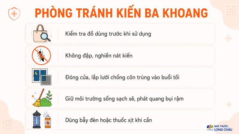 Các biện pháp phòng tránh kiến ba khoang