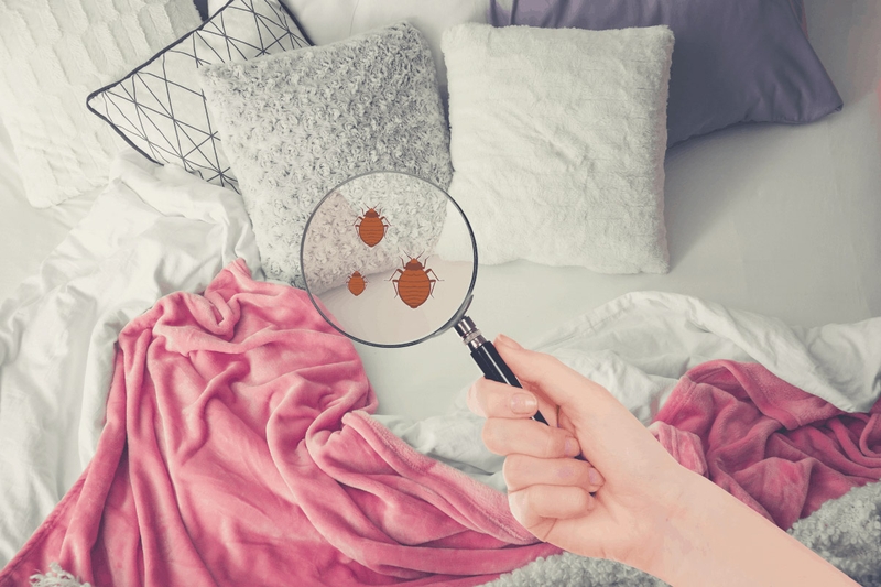 Ga gối bẩn có thể là môi trường lý tưởng cho vi khuẩn sinh sôi