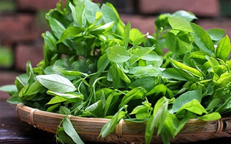 Viêm đại tràng ăn rau gì thì tốt cho quá trình điều trị bệnh 3