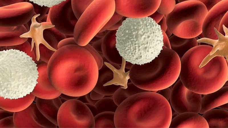 Viêm đại tràng vi thể là bệnh gì? Nguyên nhân và cách điều trị 2