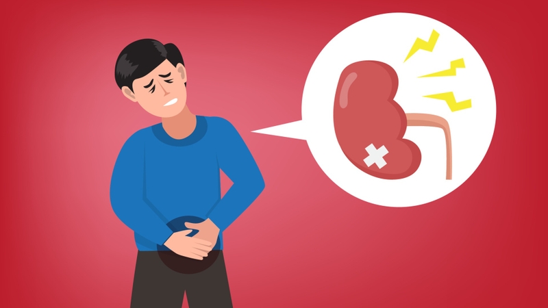 Bệnh viêm đường tiết niệu thường do vi khuẩn tấn công vào hệ tiết niệu