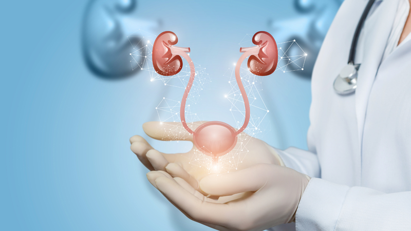 Viêm đường tiết niệu ở nữ kiêng quan hệ bao lâu? 4