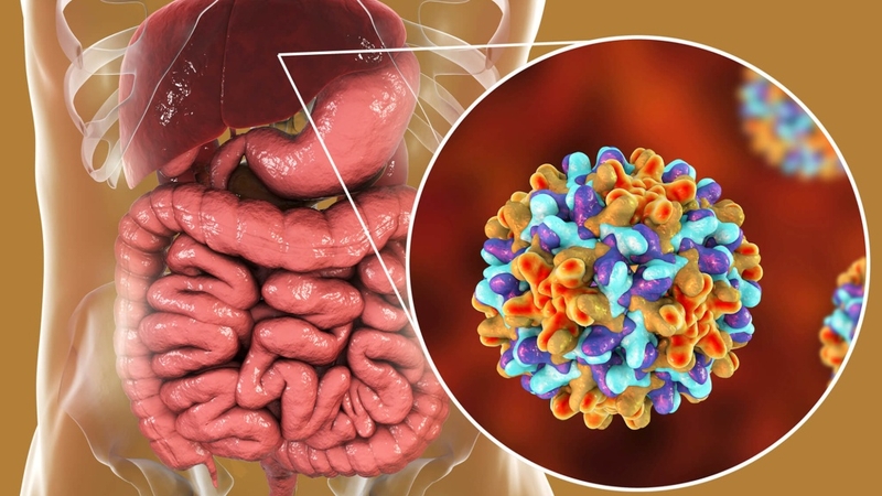 Viêm gan B có lây không? Bệnh viêm gan B lây qua đường nào?