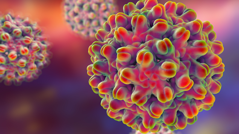 Những người có tải lượng HBV DNA cao thường có nguy cơ tái phát cao hơn