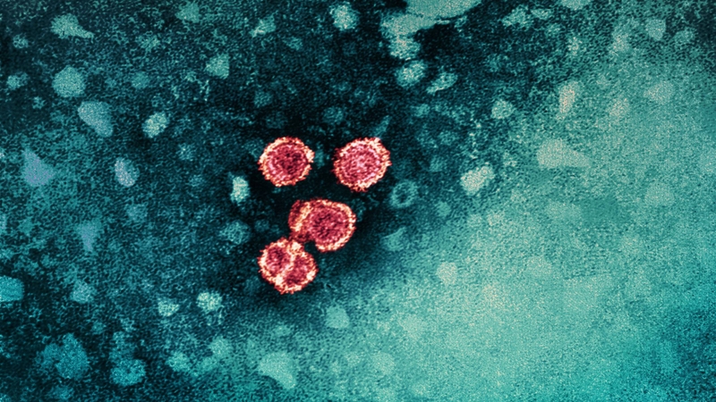 Viêm gan B lây qua đường nước bọt không? Câu trả lời là không lây qua đường này