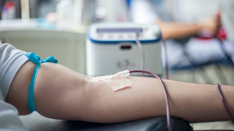 Viêm gan B lây qua đường nào? Một trong các con đường lây nhiễm chính là đường máu