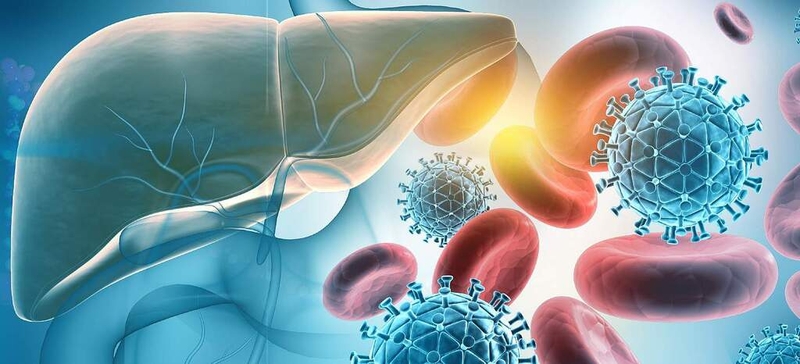 Viêm gan cấp tính có nguy hiểm không? Chẩn đoán bệnh viêm gan cấp tính như thế nào? 1