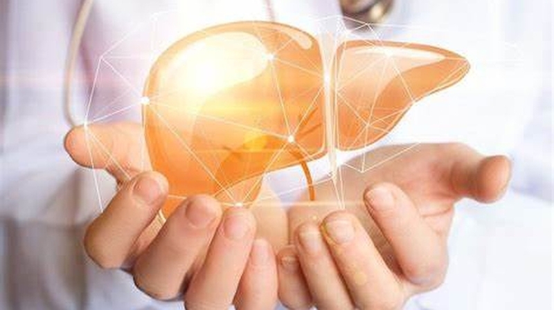 Viêm gan E có lây qua đường máu không? Hiểu rõ về các con đường lây truyền của bệnh 1