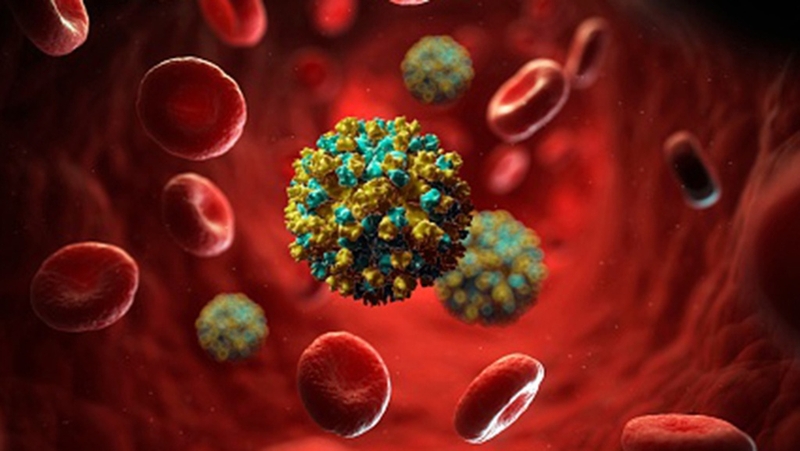 Viêm gan E có lây qua đường máu không? Hiểu rõ về các con đường lây truyền của bệnh 2