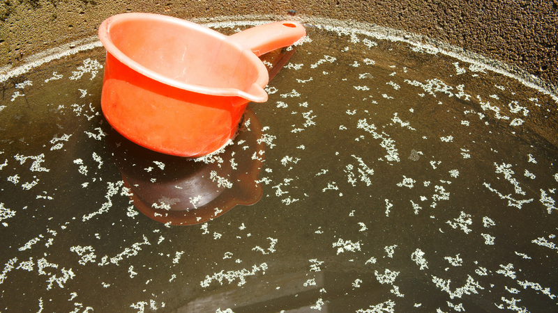 Viêm gan E: Nguyên nhân, triệu chứng và phương pháp điều trị 4