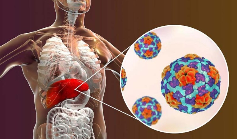 Viêm gan lây qua đường nào và các biện pháp phòng ngừa 1