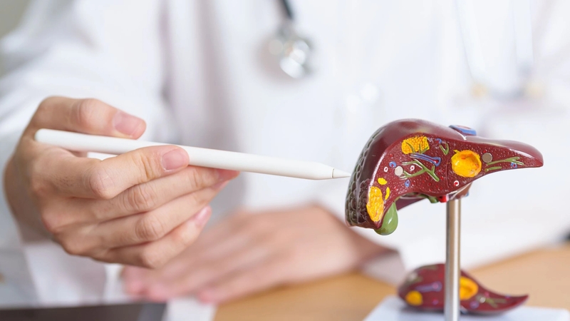 Viêm gan virus B mạn không có tác nhân delta là gì? Điều trị và phòng ngừa 2