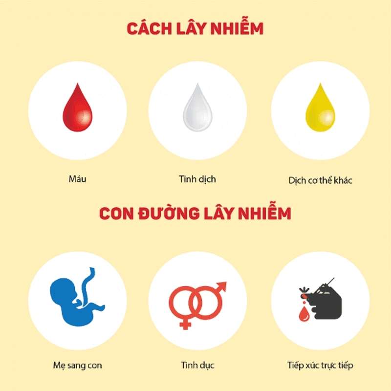 Viêm gan virus mạn là gì? Nguyên nhân và triệu chứng của viêm gan virus mạn 3