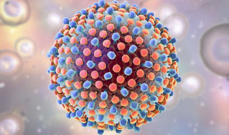 Viêm gan virus và những thông tin cần biết 1