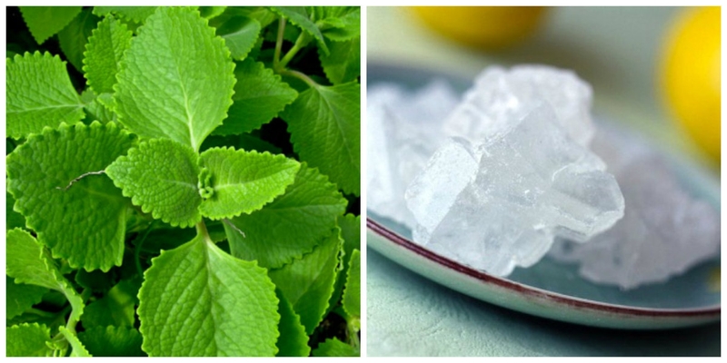 Viêm họng uống nước gì để mau chóng hết bệnh