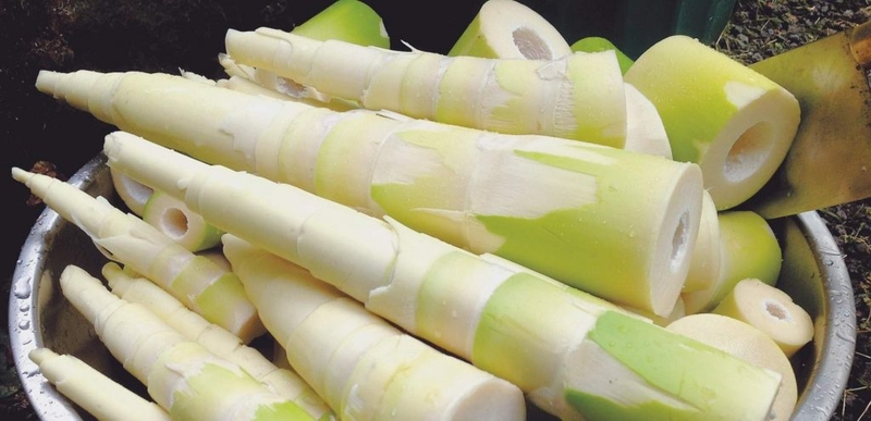 Bị viêm loét dạ dày tá tràng kiêng ăn gì mới tốt đây 4 Bị viêm loét dạ dày tá tràng kiêng ăn gì mới tốt đây 4