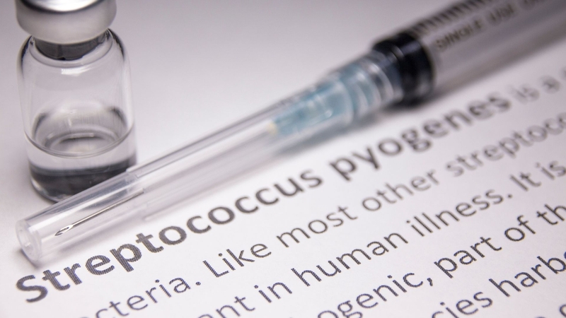 Streptococcus pyogenes, là một trong những nguyên nhân thường gặp của viêm mạch bạch huyết cấp