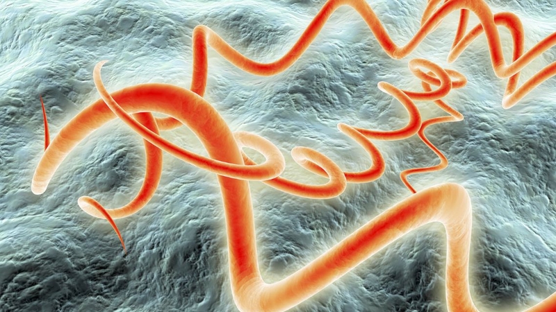 Viêm màng não do giang mai: Mức độ nguy hiểm, cách nhận biết và điều trị 1