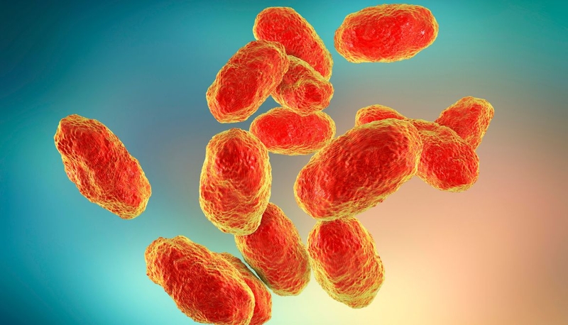 Viêm màng não do Hib: Triệu chứng và phương pháp điều trị hiệu quả 1