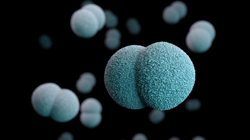 Viêm màng não mô cầu AC là gì? Nguyên nhân, triệu chứng và cách điều trị 5