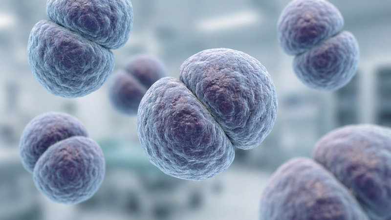 Viêm màng não mô cầu có thể gây biến chứng nặng chỉ trong vài giờ