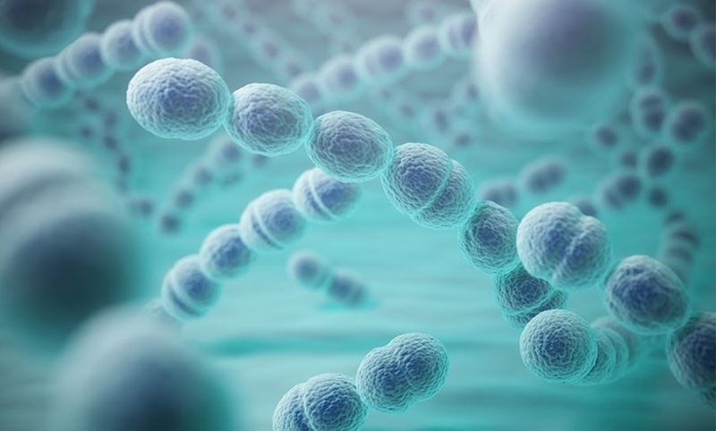 viêm màng não mủ điều trị bao lâu 3