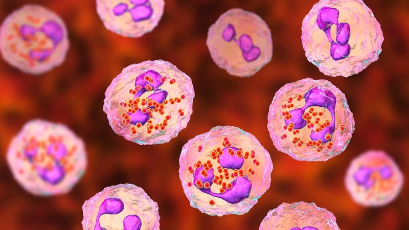 Viêm màng não mủ ở người lớn: Nguyên nhân, cách phòng bệnh 1