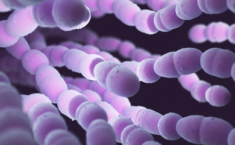 Viêm màng não nhiễm khuẩn: Chẩn đoán và điều trị 2