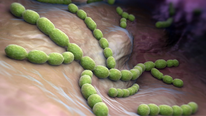 Viêm màng nhĩ bọng nước: Nguyên nhân, triệu chứng và cách điều trị 1