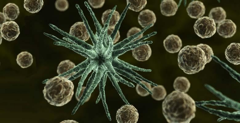 Viêm mào tinh hoàn - những điều cần biết 2