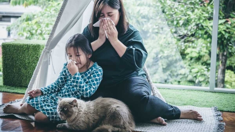 Lo lắng viêm mũi dị ứng có di truyền không 2