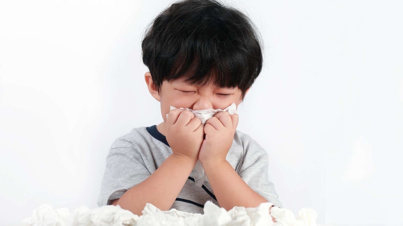 Viêm mũi dị ứng ở trẻ em có chữa được không? 1