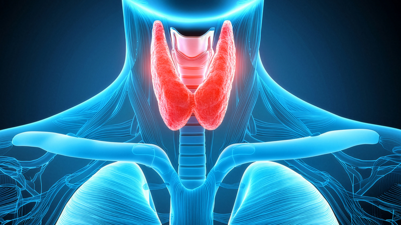 Các yếu tố khác như thay đổi nội tiết tố trong thai kỳ, mãn kinh, suy giáp